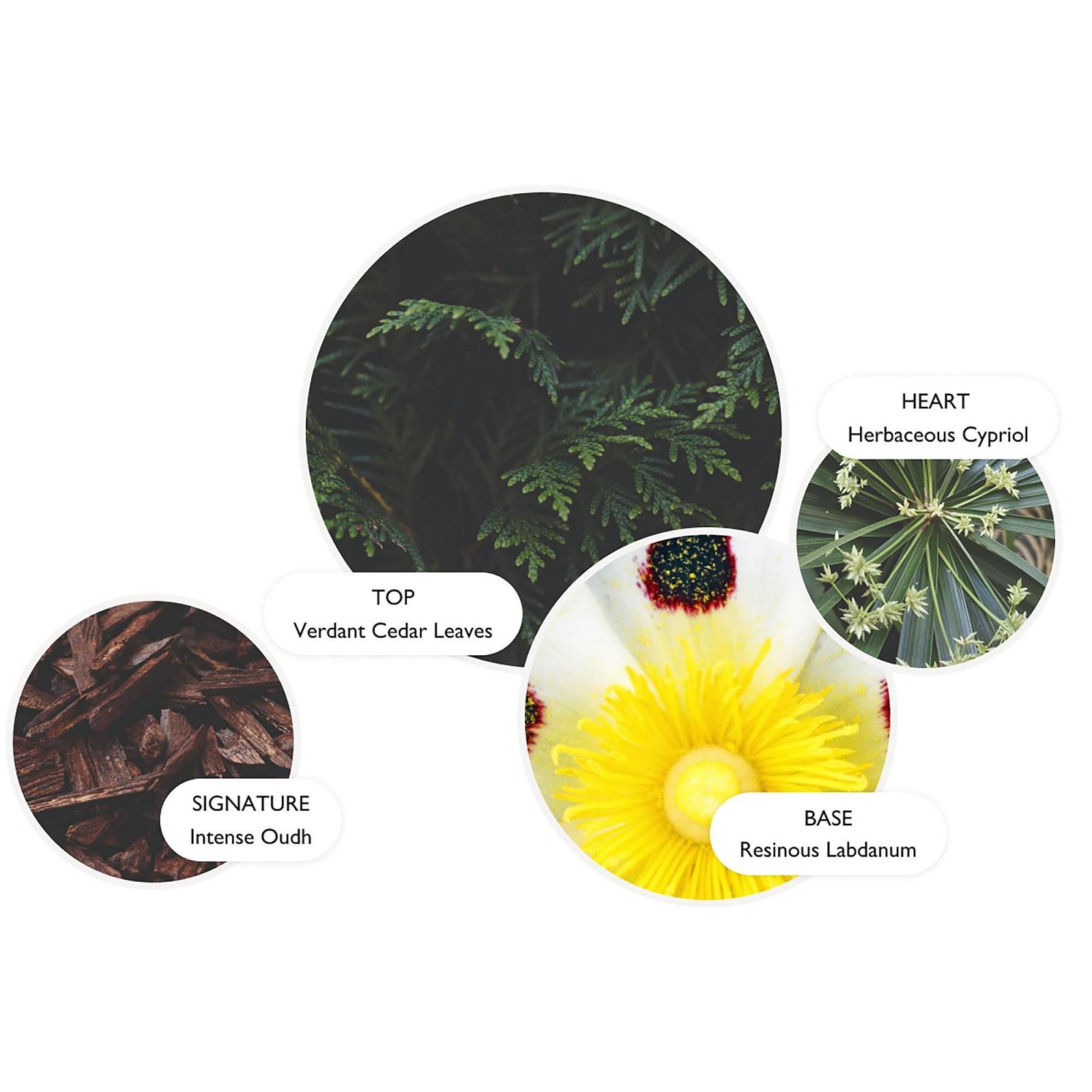 Гель для душа Molton Brown Labdanum Dusk 300 мл, фото №3