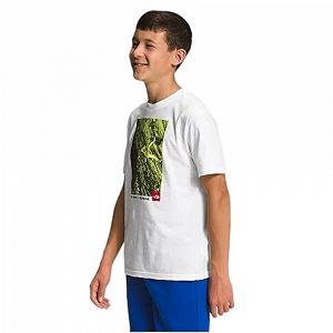 Футболка THE NORTH FACE GRAPHIC  S synthetic.ua - Фото 1