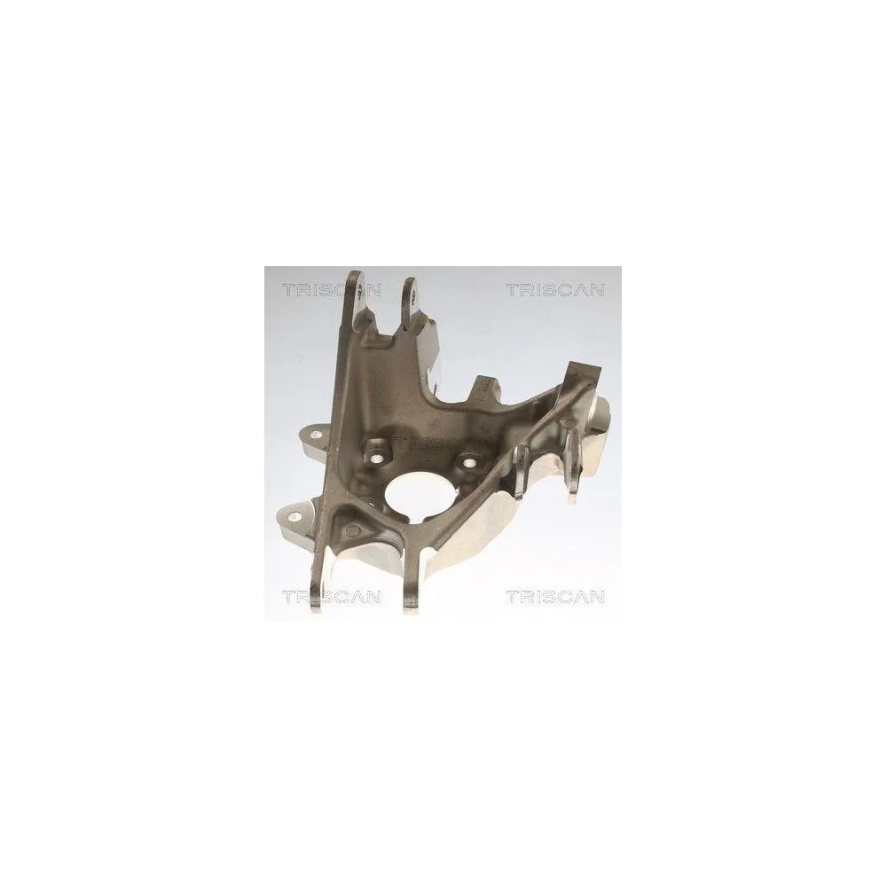 Поворотный кулак TRISCAN 8500 81705 для TESLA, задний левый, фото №1