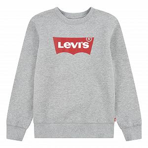 Толстовка Levi's Batwing Crew Neck для хлопчиків (1 шт. в упаковці) - Фото 1