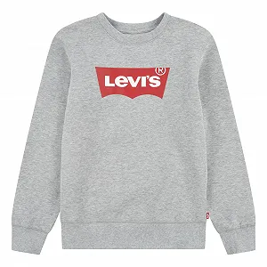 Толстовка Levi's Batwing Crew Neck для мальчиков (1 шт. в упаковке) - Фото 1