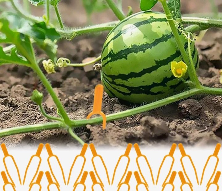 Фиксатор для стебля растения, 50шт, фото №2