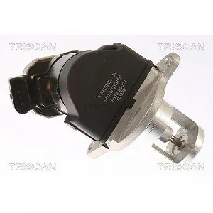 Клапан EGR TRISCAN 8813 23021 для MERCEDES-BENZ synthetic.ua - Фото 1