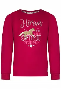 Свитшот Salt and Pepper Лошади M\[ФЮРЕЛЬ] - Фото 1