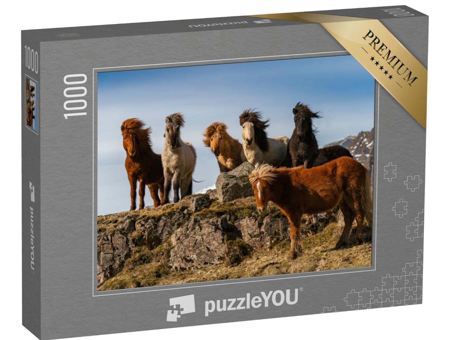 Пазл puzzleYOU Лошади "Табун исландских лошадей на сильном ветру" 1000 деталей, фото №1