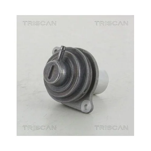 Клапан EGR TRISCAN 8813 23207 для MERCEDES-BENZ SMART, фото №2