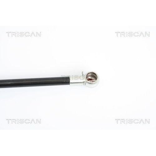 Газова пружина багажника TRISCAN 8710 23214 для MERCEDES-BENZ, фото №3 Газова пружина багажника TRISCAN 8710 23214 для MERCEDES-BENZ, фото №3