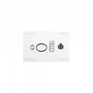 Термостат системы охлаждения TRISCAN 8620 44890 для MERCEDES-BENZ MITSUBISHI SMART - Фото 1