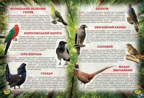 Книга Иллюстрированный атлас живой природы укр, фото №2