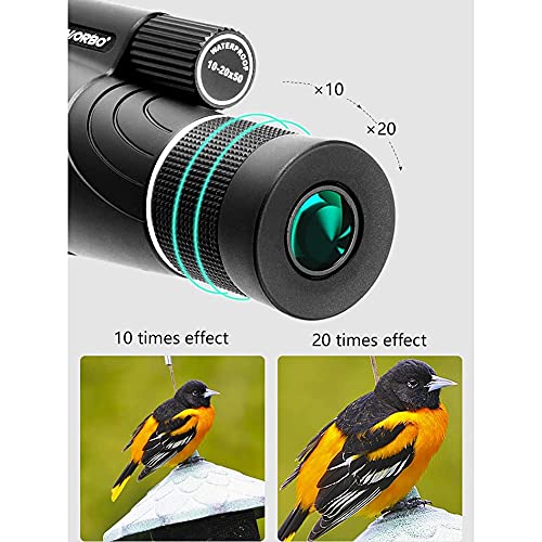 Монокуляр DERBUT Hochleistungs 10–20 x 50 Bak4 для птахів дикої природи з адаптером для телефону штативом, фото №5