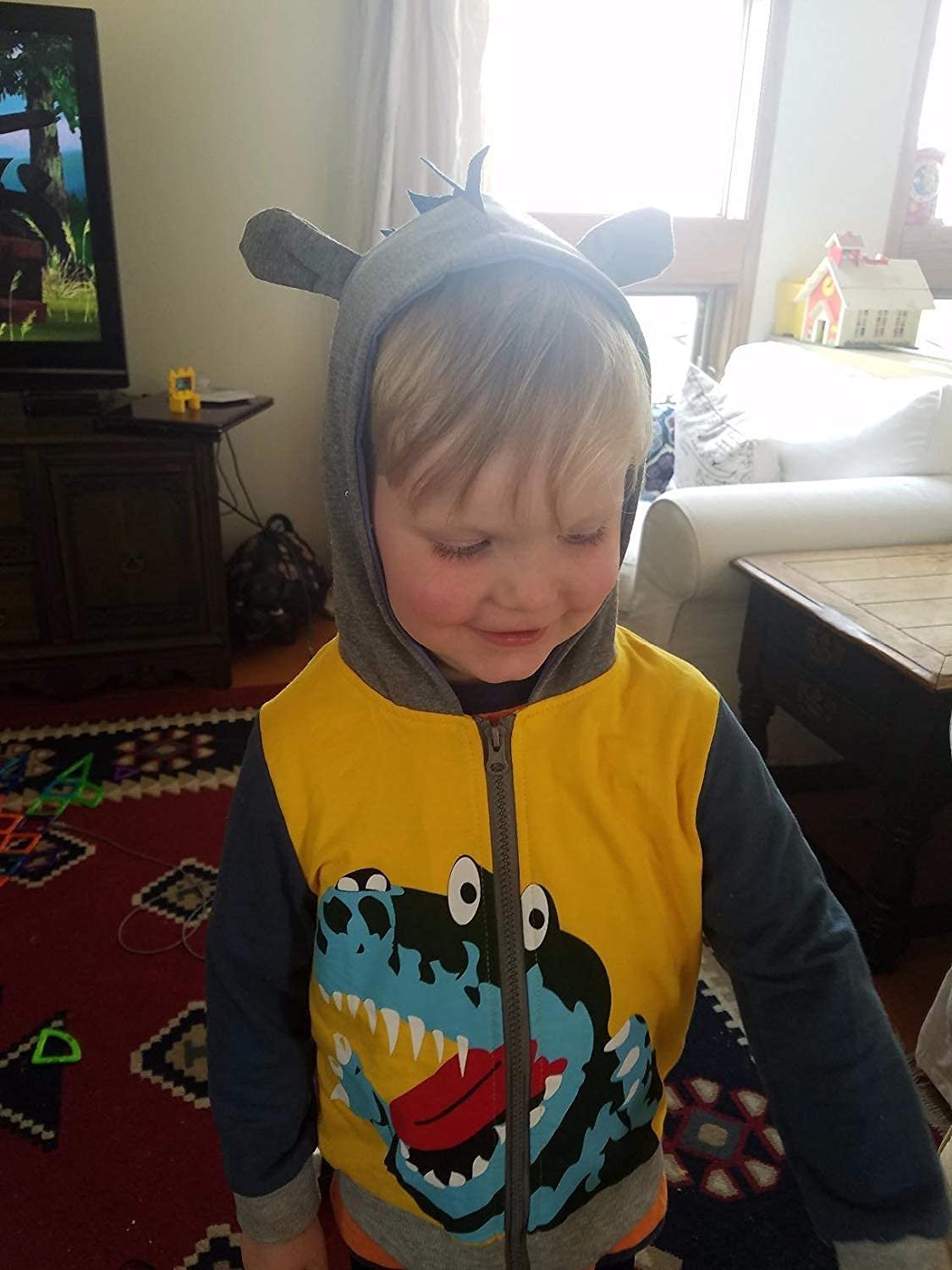 Светр з капюшоном Garsumiss для хлопчиків, динозавр, пуловер, фото №2