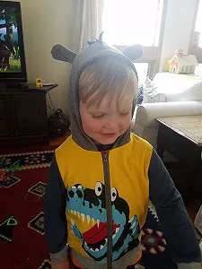 Свитер с капюшоном Garsumiss для мальчиков, динозавр, пуловер synthetic.ua - Фото 1