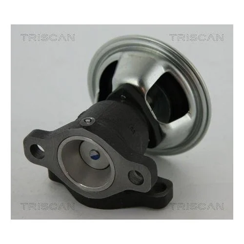 Клапан EGR TRISCAN 8813 43022 для HYUNDAI KIA, фото №2