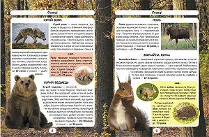 Книга Мир вокруг нас Кто сколько живет укр synthetic.ua - Фото 1