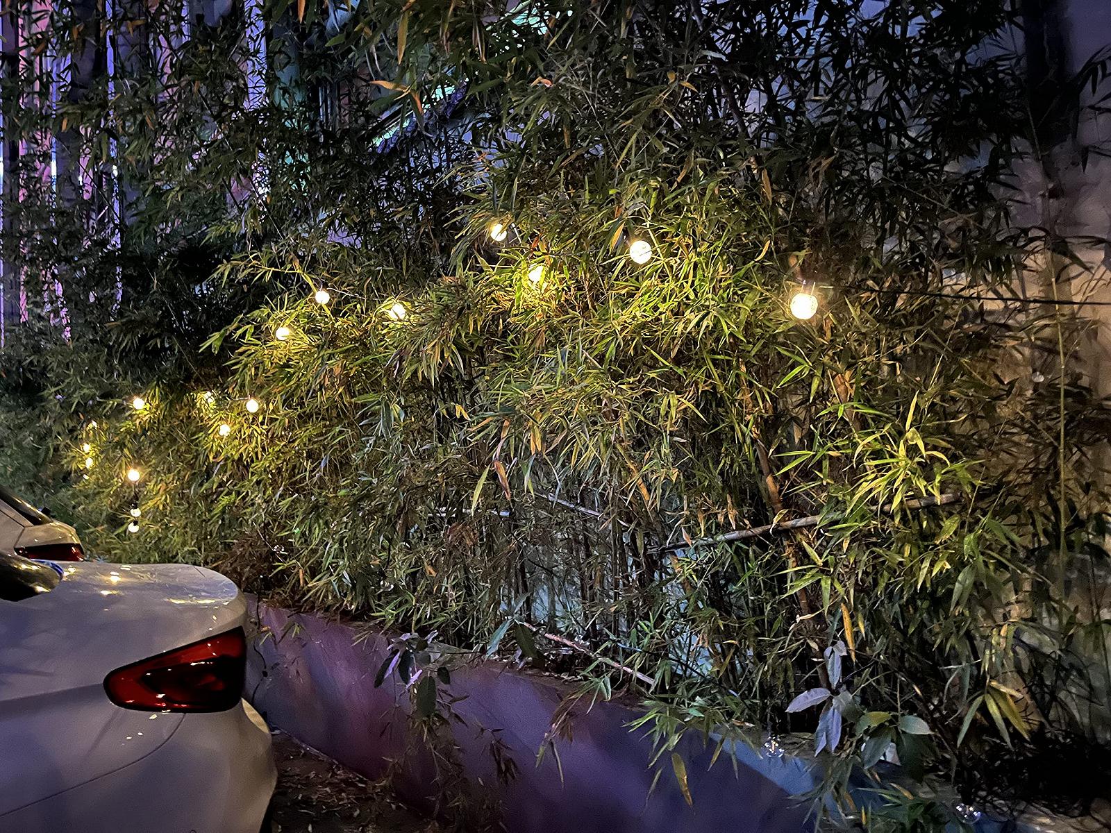 Гірлянда Sylvwin G40 Вулична 15 м, 25 LEDs, 8 режимів, Сонячна, USB зарядка, фото №10