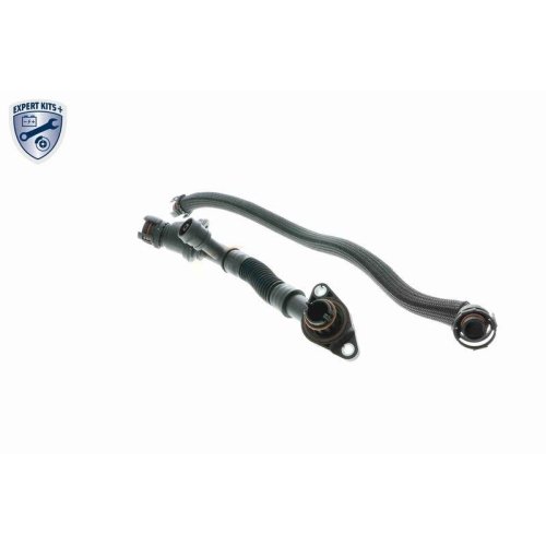 Шланг радіатора VAICO EXPERT KITS + V20-3291 BMW верхній, фото №3