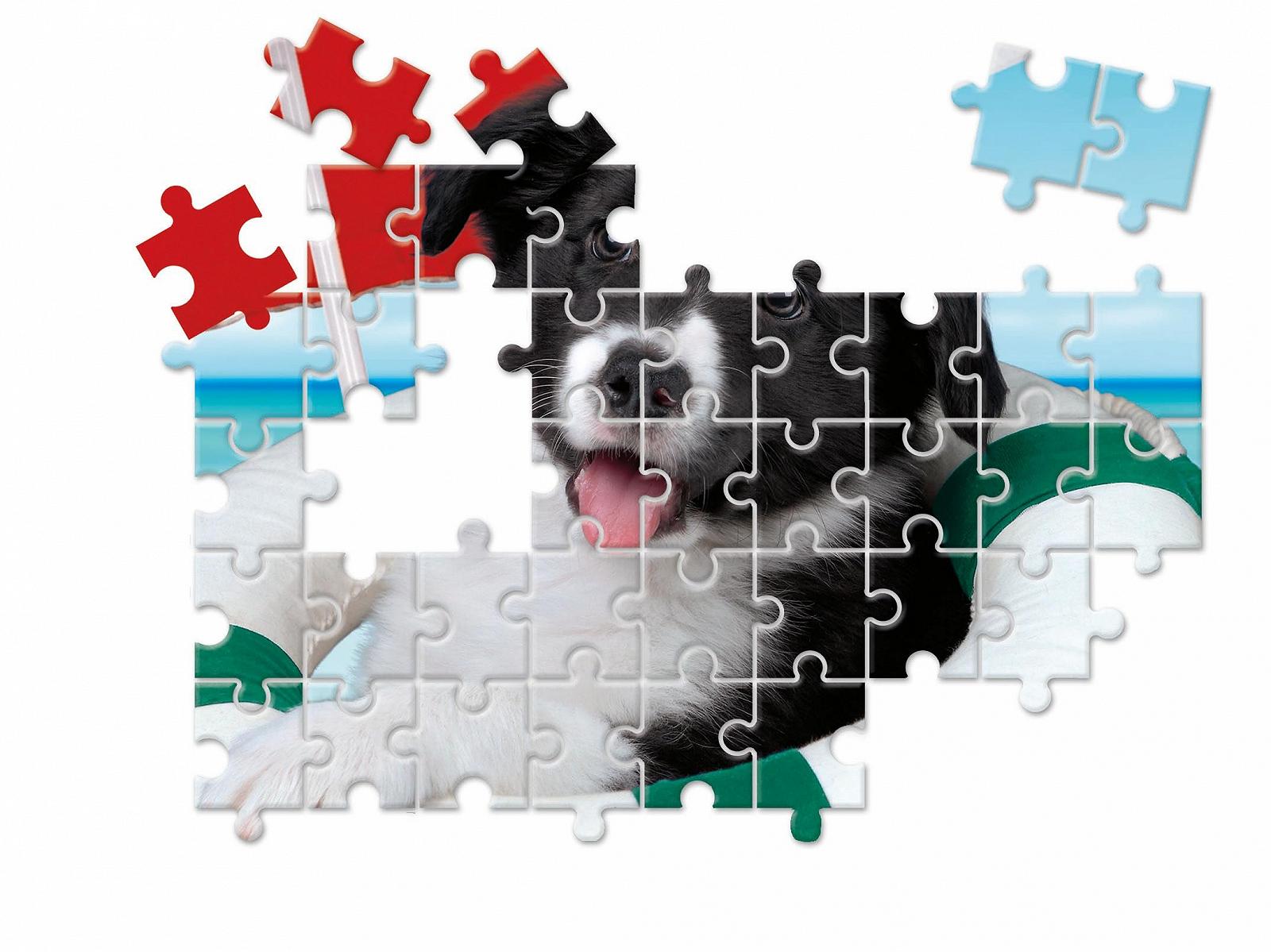 Набор пазлов Clementoni Animal Friends 20283 10-в-1 (3 x 18, 4 x 30, 2 x 48, 1 x 60 шт.) от 4 лет, фото №5