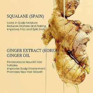 Эссенция для кожи головы с имбирем Old Ginger, 2 шт. Экстракт натурального имбиря для глубокого ухода, стимулирует рост волос, уменьшает выпадение, улучшает здоровье кожи головы, для всех типов волос synthetic.ua - Фото 1