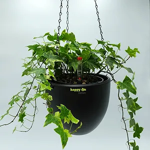 Подвесная корзина happy nature Venus 13/12 Набор из 4 предметов Керамическая для гидропоники Диаметр 17.5 см Высота 15 см Антрацит synthetic.ua - Фото 1