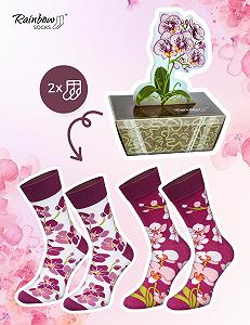 Шкарпетки Rainbow Socks Квітка Орхідея - 2 пари synthetic.ua - Фото 1
