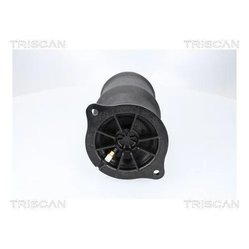 Пневморессора подвески TRISCAN 8720 23210 MERCEDES-BENZ Задняя ось с обеих сторон, фото №3
