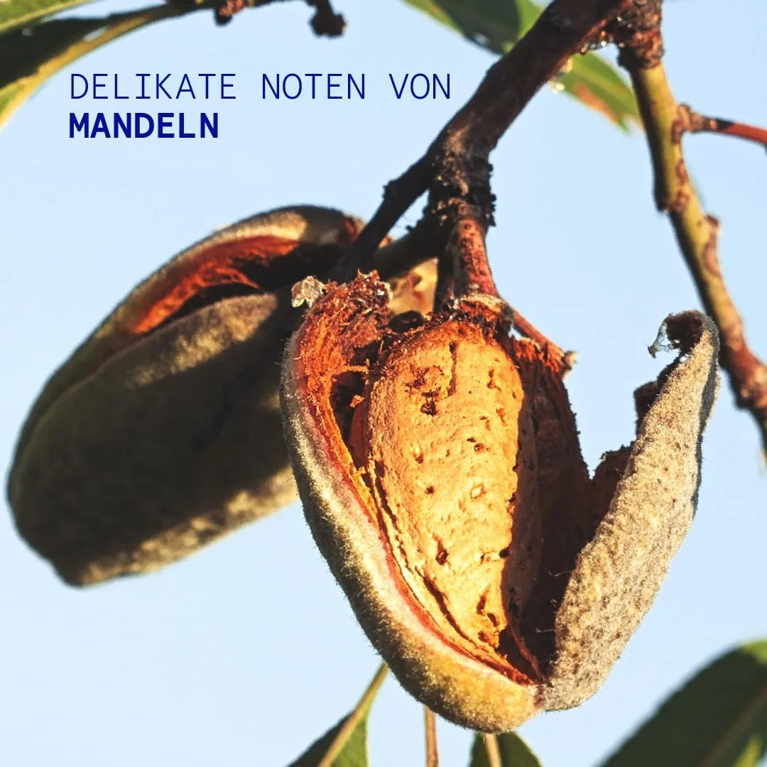 Крем для рук KORRES ALMOND NUT с маслом сладкого миндаля 50 мл, фото №4