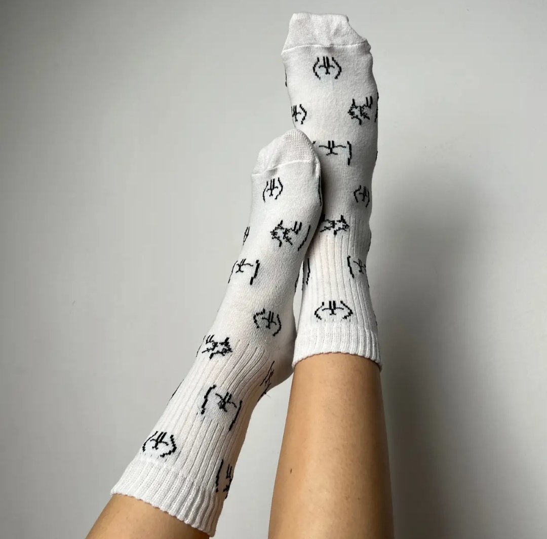 Чоловічі молодіжні шкарпетки високі демісезонні білі 39 - 44 розмір, фото №1