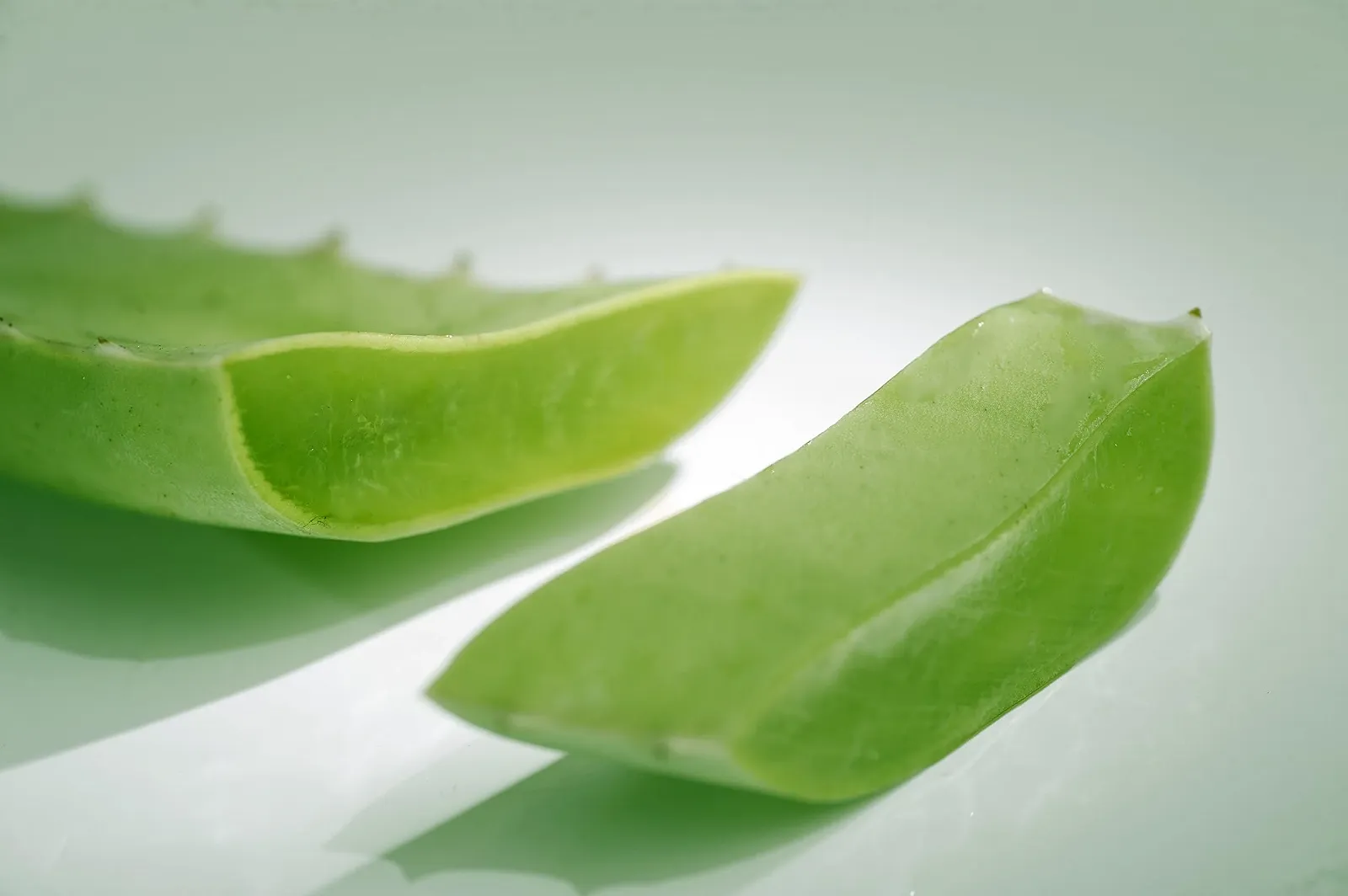 Нічний крем для обличчя Nutrition Intens Cream поживний з 30% алое вера, 200 мл, фото №2 Нічний крем для обличчя Nutrition Intens Cream поживний з 30% алое вера, 200 мл, фото №2