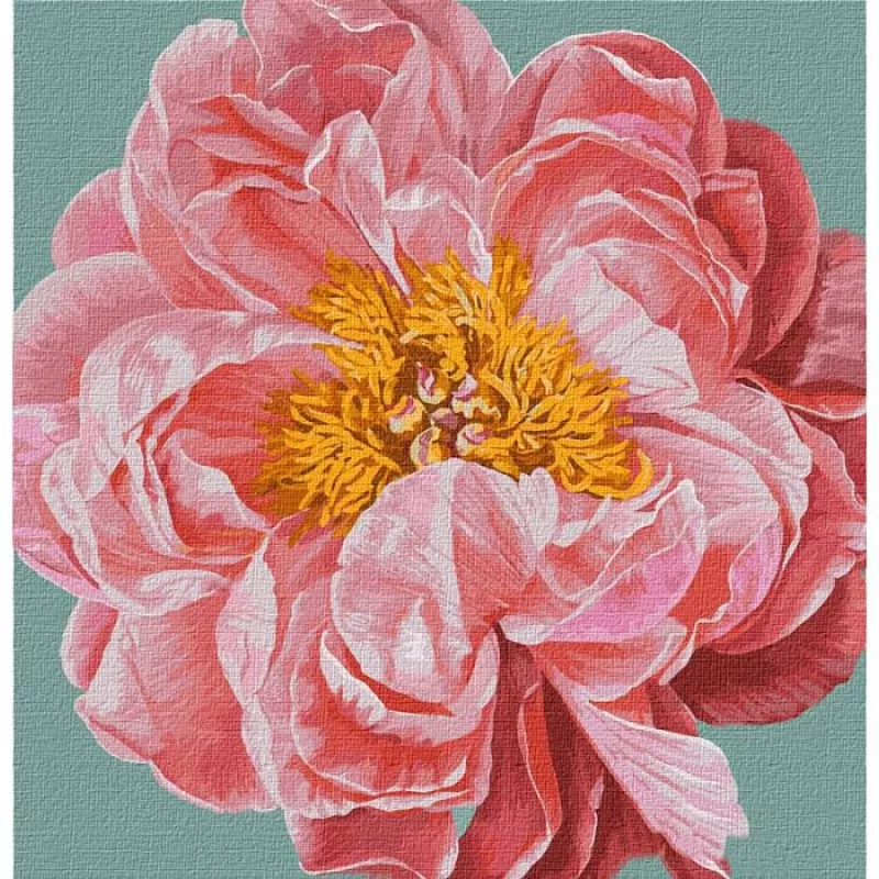 KHO2952 Картина для малювання за номерами Pink kiss Без коробки, фото №1