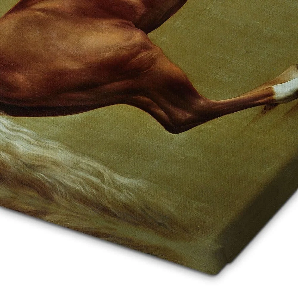 Картина на полотні Posterlounge Whistlejacket Джордж Стаббс 20 x 20 см зелена, фото №3