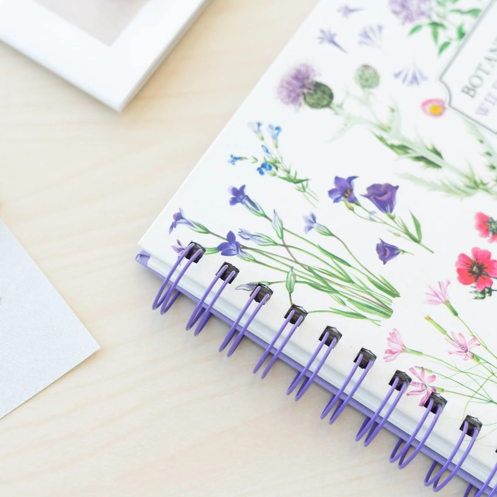 Фотоальбом Grupo Erik для DIY, белые страницы - Фотоальбом Wild Flowers для склеивания - Альбом для вырезок, белые страницы, 26 x 26 см, фото №6 Фотоальбом Grupo Erik для DIY, белые страницы - Фотоальбом Wild Flowers для склеивания - Альбом для вырезок, белые страницы, 26 x 26 см, фото №6