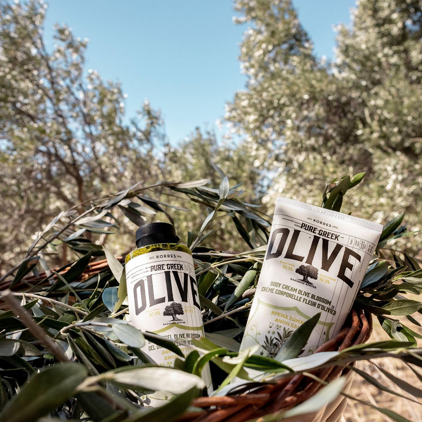 Молочко для тіла та гель для душу Korres Olive & Olive Blossom 200 мл та 250 мл (упаковка з 2 шт.), фото №2