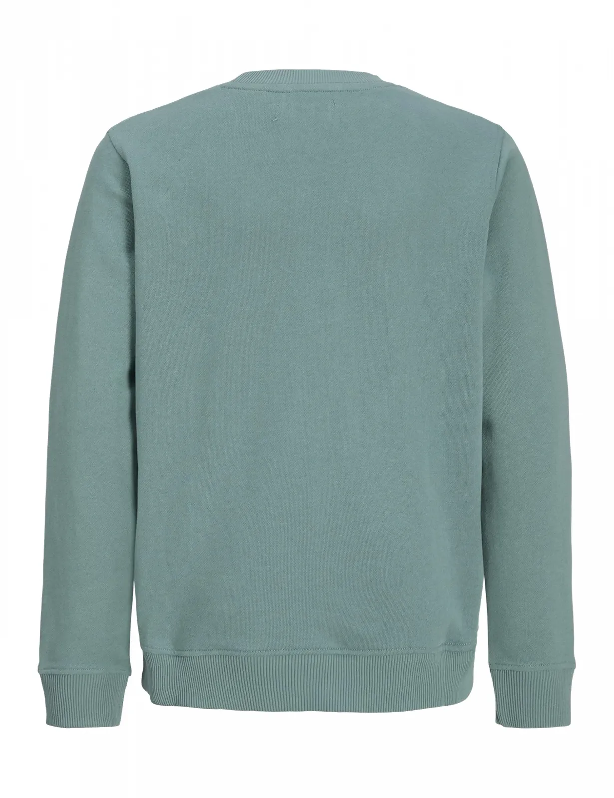 Толстовка JACK & JONES Jjcollege Logo Sweat Crew Jnr, фото №2 Толстовка JACK & JONES Jjcollege Logo Sweat Crew Jnr, фото №2