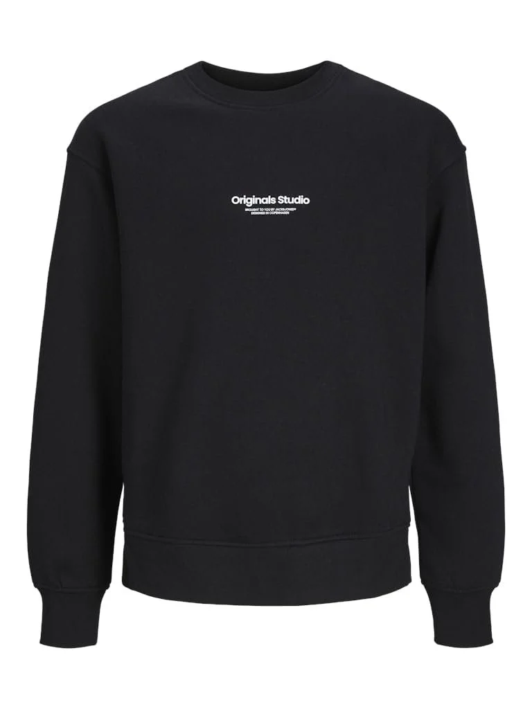 Толстовка JACK&JONES JUNIOR Jorvesterbro Sweat Crew Neck Bn Mni для хлопчиків, фото №1 Толстовка JACK&JONES JUNIOR Jorvesterbro Sweat Crew Neck Bn Mni для хлопчиків, фото №1