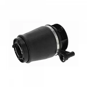 Пневматична пружинна підвіска VEMO V25-50-0004 для FORD LINCOLN - Фото 1