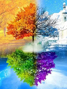 TN459 Набор алмазной мозаики на подрамнике Времена года - Фото 1