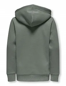 Худі Only & sons junior Osjceres Reg Vintage Print Hood SWT Noos ціна на synthetic.ua - Фото 1 Худі Only & sons junior Osjceres Reg Vintage Print Hood SWT Noos synthetic.ua - Фото 1