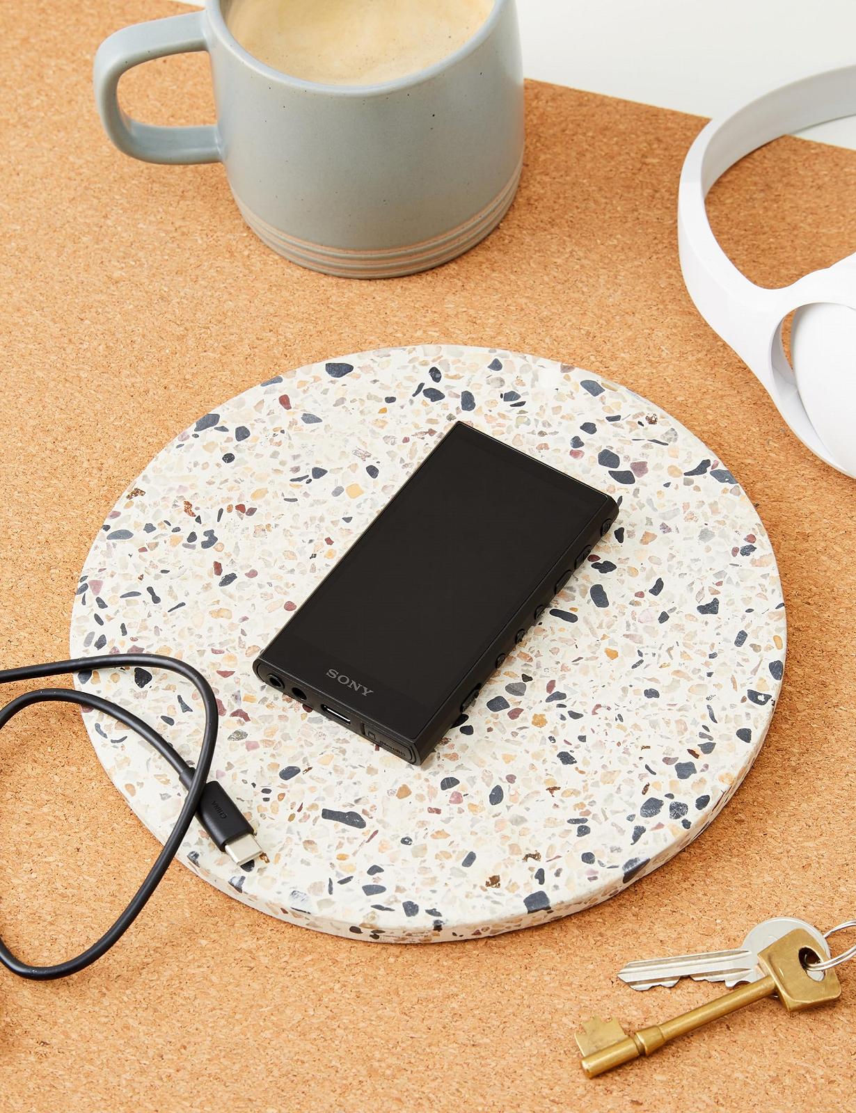MP3 плеер Sony Walkman NW-A306 32 ГБ, Черный, фото №2