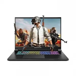 Ноутбук Dream Machines RX5080-18 (RX5080-18UA27) - Фото 1