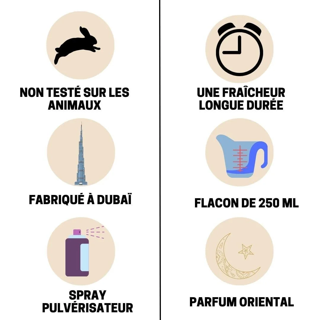 Парфюмированная вода BUSINESS SQUARE BS Ayat Paradise Mist 250 мл, фото №3