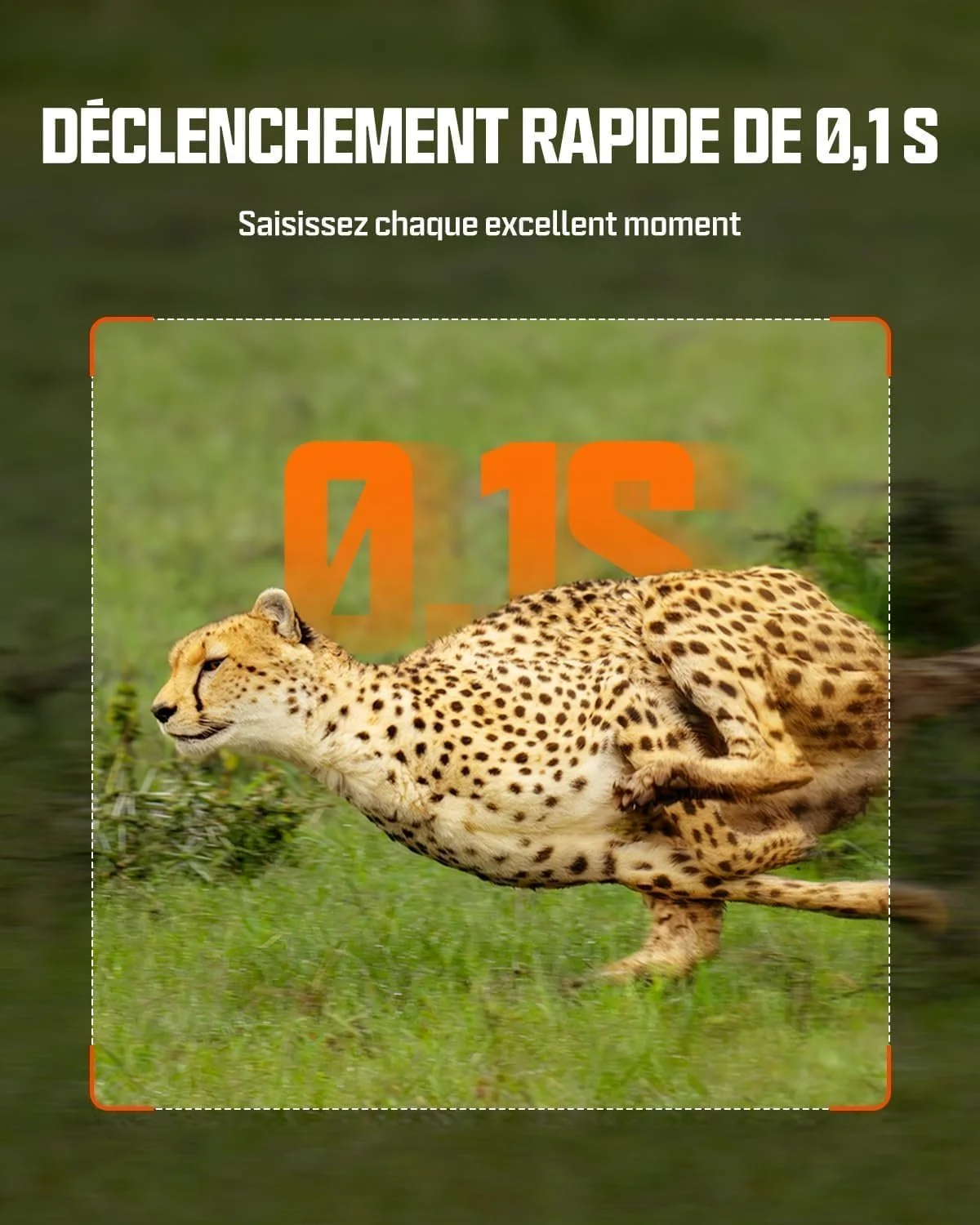 Фотопастка з сонячною панеллю Ceyomur CY75 / 60MP / 4K / Wi-Fi / Bluetooth / Зелена, фото №7 Фотопастка з сонячною панеллю Ceyomur CY75 / 60MP / 4K / Wi-Fi / Bluetooth / Зелена, фото №7