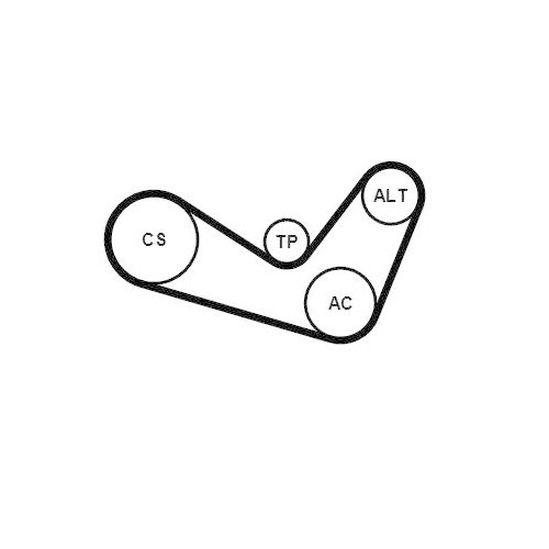 Комплект поликлинового ремня CONTINENTAL CTAM 6PK1050K1, фото №2