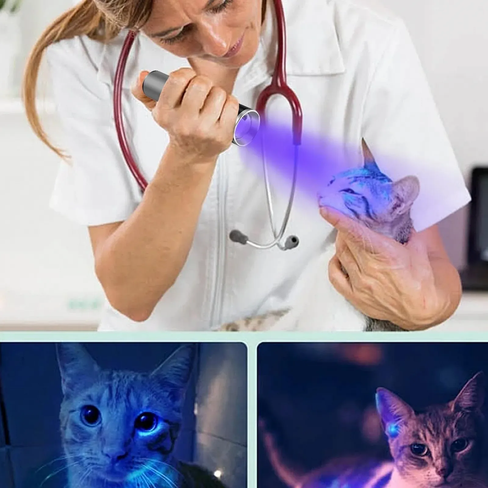 Ультрафіолетовий ліхтарик 365nm Телескопічний зум, фото №3 Ультрафіолетовий ліхтарик 365nm Телескопічний зум, фото №3