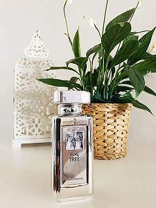 Парфюм My perfumes Fog Tree EDP 100 мл для мужчин и женщин synthetic.ua - Фото 1