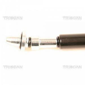 Амортизатор заднего стекла TRISCAN 8710 38217 для CITROËN, слева, справа synthetic.ua - Фото 1