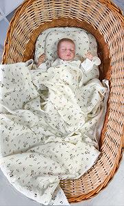 Муслиновый комплект в коляску, люльку: плед, простынь и подушка цветочки бежевый - Фото 1