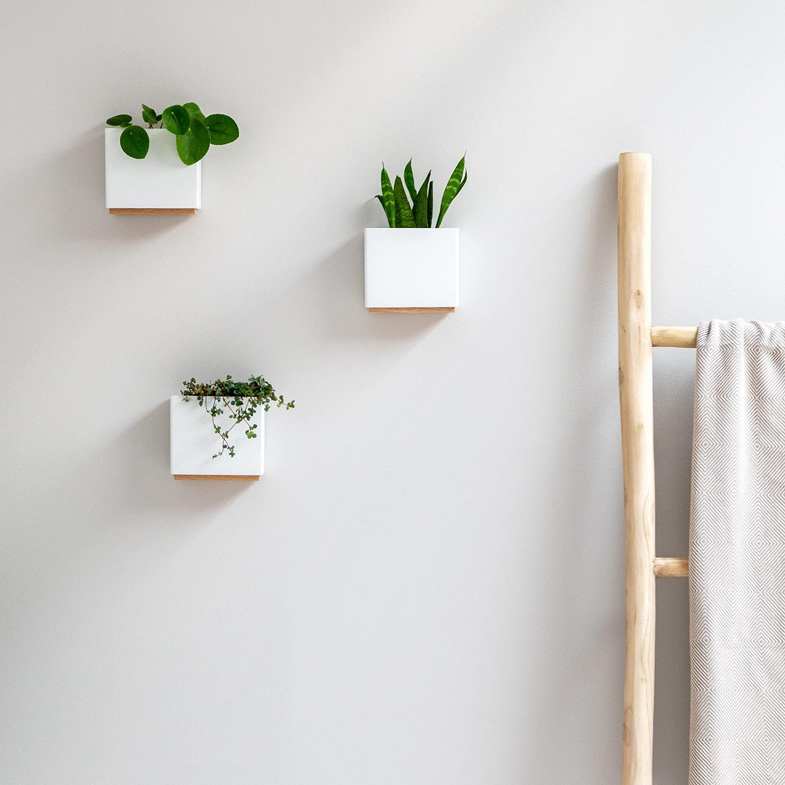 Настінні вази Kazai. Alma набір з 3 шт. білі, фото №4 Настінні вази Kazai. Alma набір з 3 шт. білі, фото №4