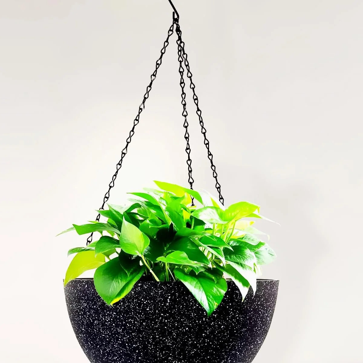 Цепи для подвешивания растений набор 20 шт. 24 см металлические поворотные Black, фото №5