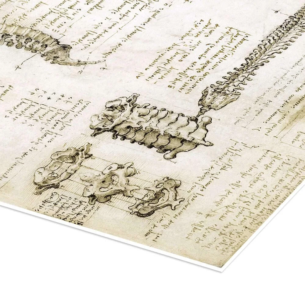 Постер Leonardo da Vinci Spine 50 x 70 см бежевый, фото №3