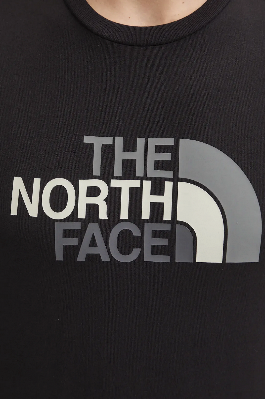 Футболка EASY TEE TNF 0A8A6CJK31 THE NORTH FACE Чорний S, фото №4
